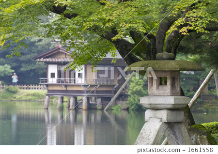 Welcome to the summer garden in Kenrokuen 1661558