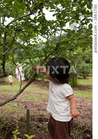 Is it delicious? 1661780