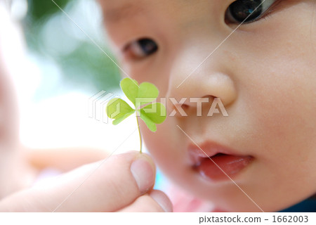 Baby staring at heart shaped leaves 1662003