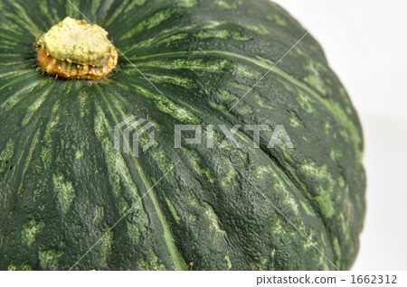 pumpkin 1662312
