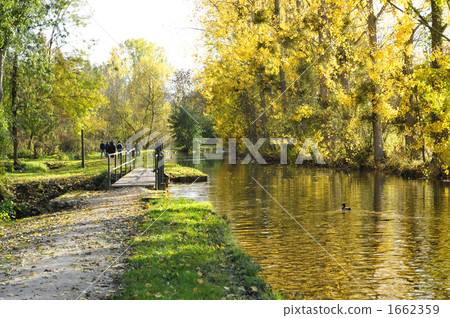 Autumn walking path 1662359