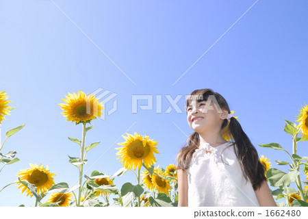 Takarena 0431 Takarena 0431 1662480