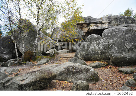 Rocky field in the forest of Fontainebleau Rocky field in the forest of Fontainebleau 1662492