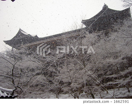 Shimizu of snow Shimizu of snow 1662591