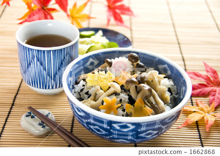 Mushroom bowl in autumn 1662868