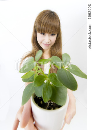 Women and potted plants 1662908