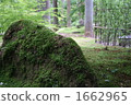 宮城松島的Zuiganji寺的花園 1662965