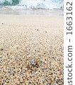 crab, crabs, sandy beach 1663162