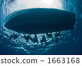 entry 1663168