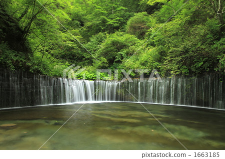 Shiraito Falls and Nature Shiraito Falls and Nature 1663185