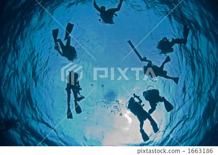 Blue crash Blue crash 1663186