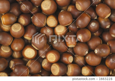 acorn, acorns, background 1663228