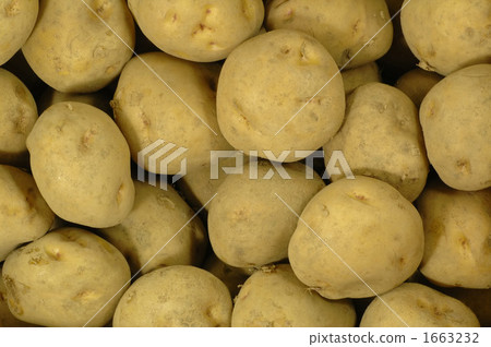background, backgrounds, taro 1663232