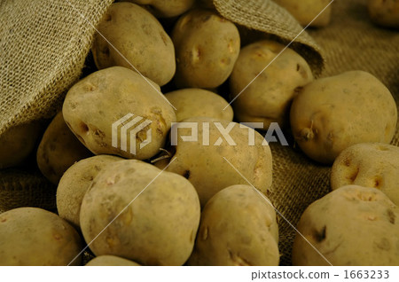 potato, potatoe, taro 1663233