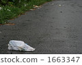 Littering 1663347