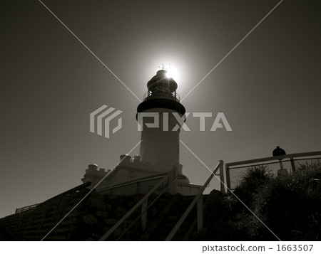 燈塔 慶生 生日 1663507
