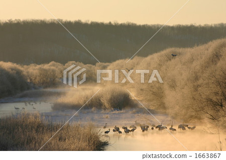 Hokkaido Eastern Kushiro Marsh Kushiro 1663867
