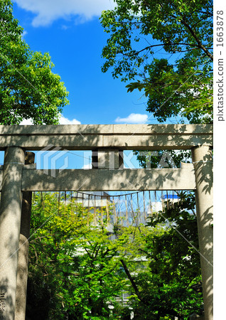 Torii 1663878