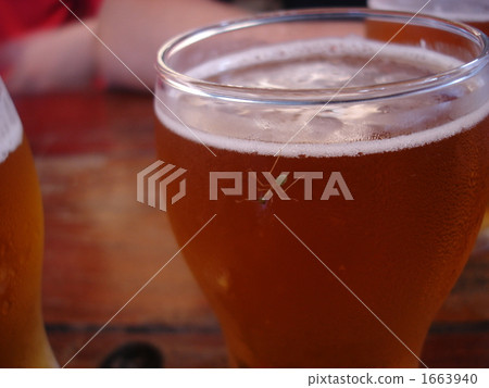 ant, ants, an ant 1663940