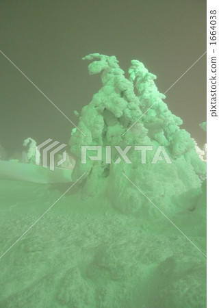 覆有霜的樹 冰霜覆蓋的樹木 冰怪 1664038