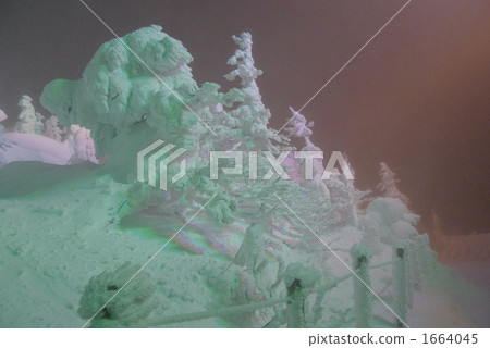 frost covered tree, frost-covered tree, ice monster 1664045