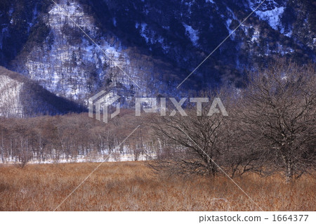 Okuhiko winter Senjogahara Okuhiko winter Senjogahara 1664377