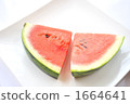 西瓜 1664641