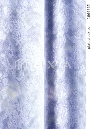 Curtain Curtain 1664865