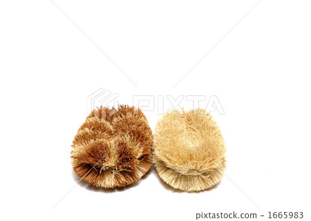 廚房設備 1665983