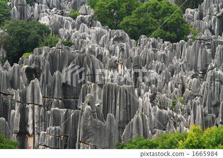 喀斯特的Iwafen集團（雲南省士林） 1665984