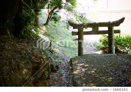 Torii Gate, torii, tine 1666161