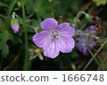 Fuurosou 1666748