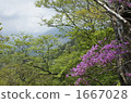 男體山 風景 堆 1667028