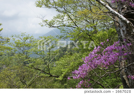 男體山 風景 堆 1667028