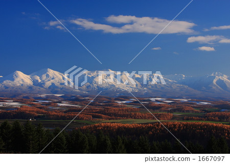 黃葉Pang Matsu和Tokachidake 01 1667097