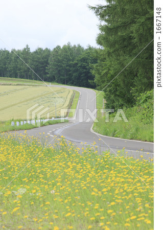 山上的路 1667148