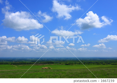 The horizon 1667239