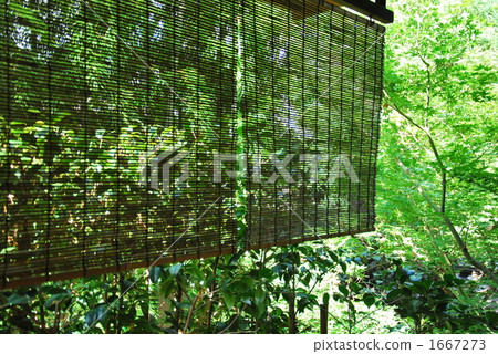 夏天的花園 1667273