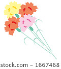 Carnation  1667468