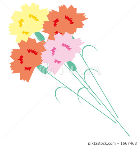 Carnation Carnation 1667468