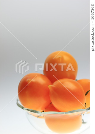Lemon Tomato 1667568