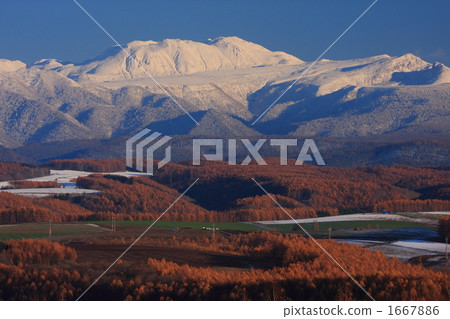 Mount Tom Lausi和Karamatsu森林 1667886