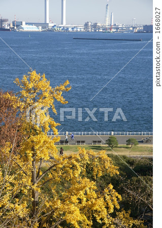 autumn autumn 1668027