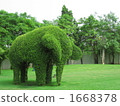 綠色種植的大象 1668378