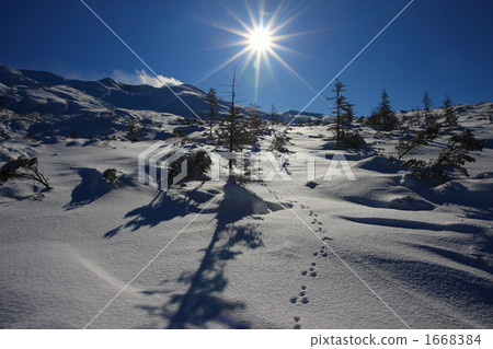 Winter mountain table 02 1668384