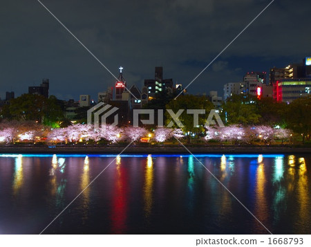 雪櫻桃在晚上點亮 1668793