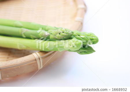 Asparagus Asparagus 1668932