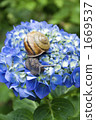 Snail 2 Snail 2 1669537