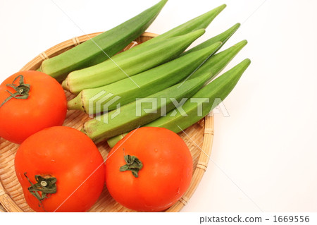 Tomato and okra 1669556