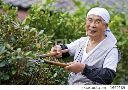 修剪 園丁工作 中老年人 1669589
